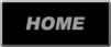 home button